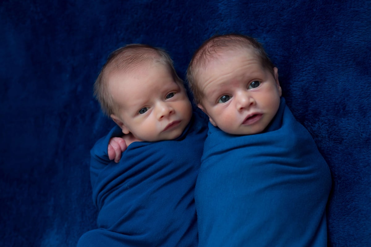 newborn fraternal twin boys wrapped in navy blue blankets